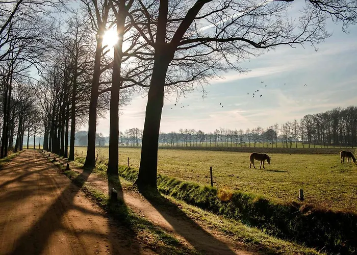 Loohuisje 32 Сasa de vacaciones