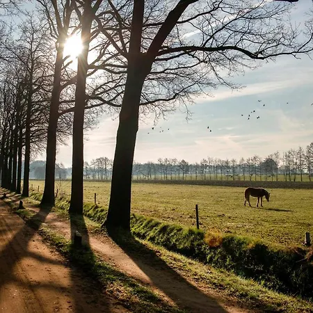 Loohuisje Vakantiehuis